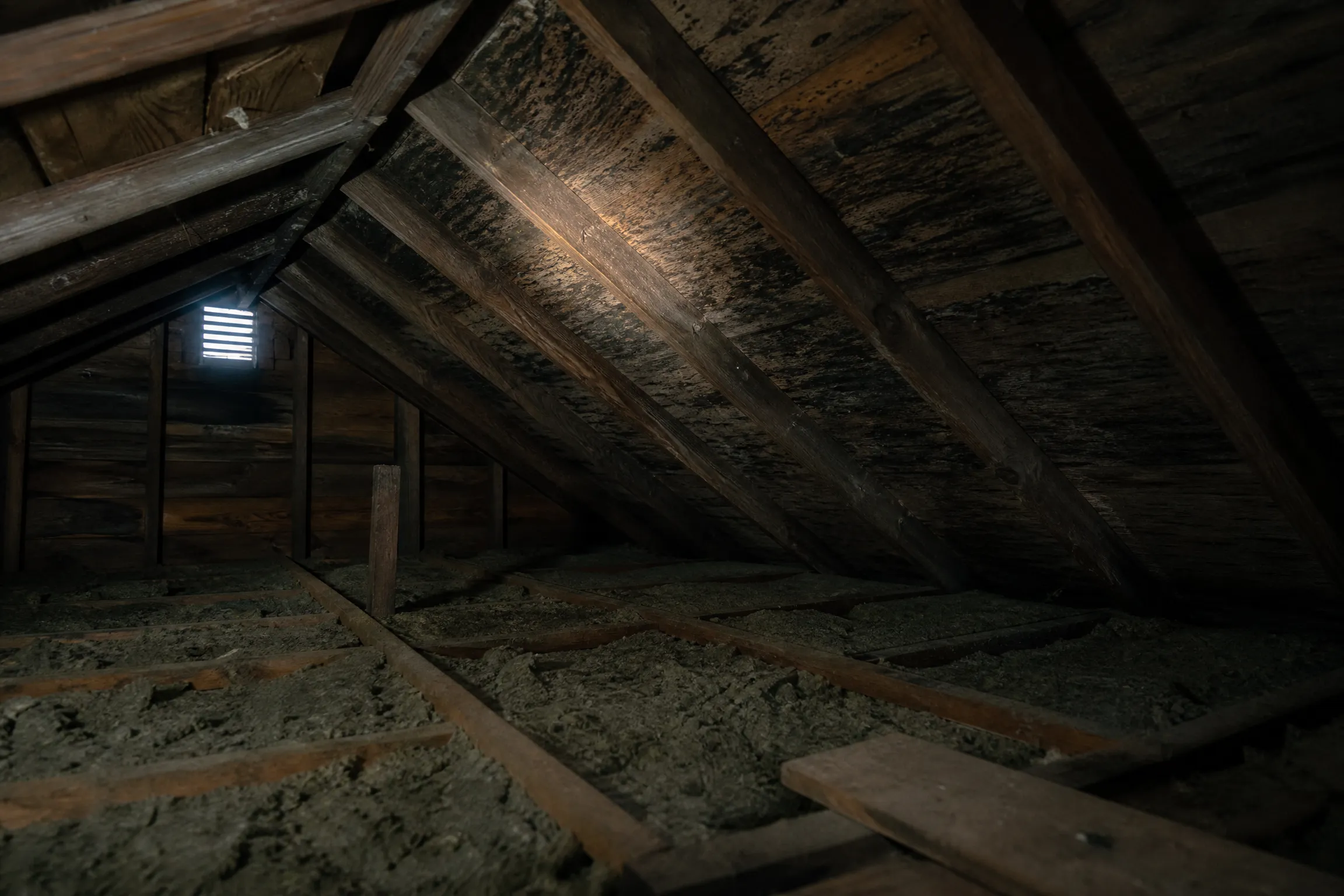 Dark mold staining on attic roof sheathing near the eaves