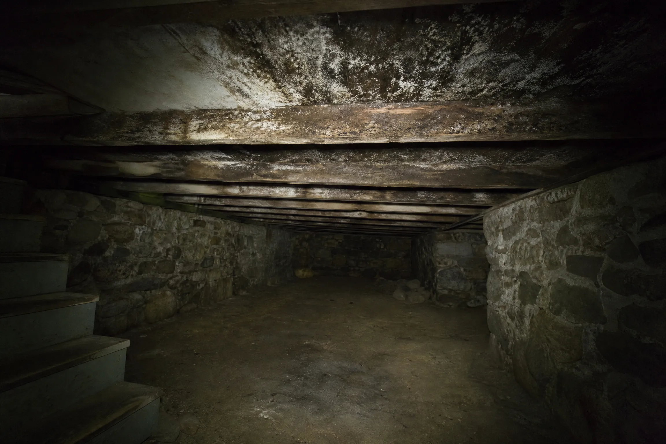 Heavy mold colonization across basement ceiling boards and joists in an old stone-foundation Maine home